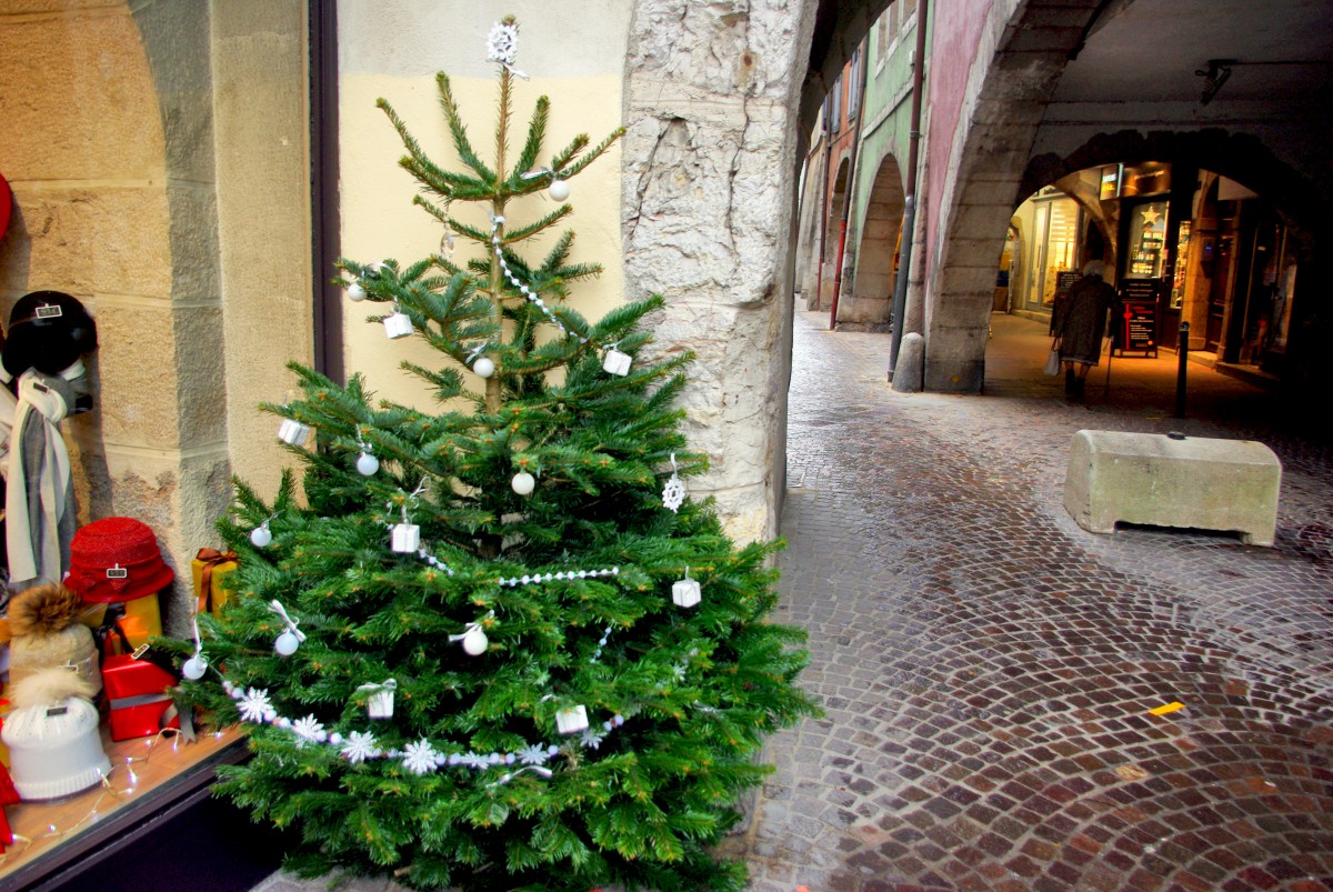 La Magie des Sapins de Noël à Saint-Étienne : Un Guide Complet pour 2024