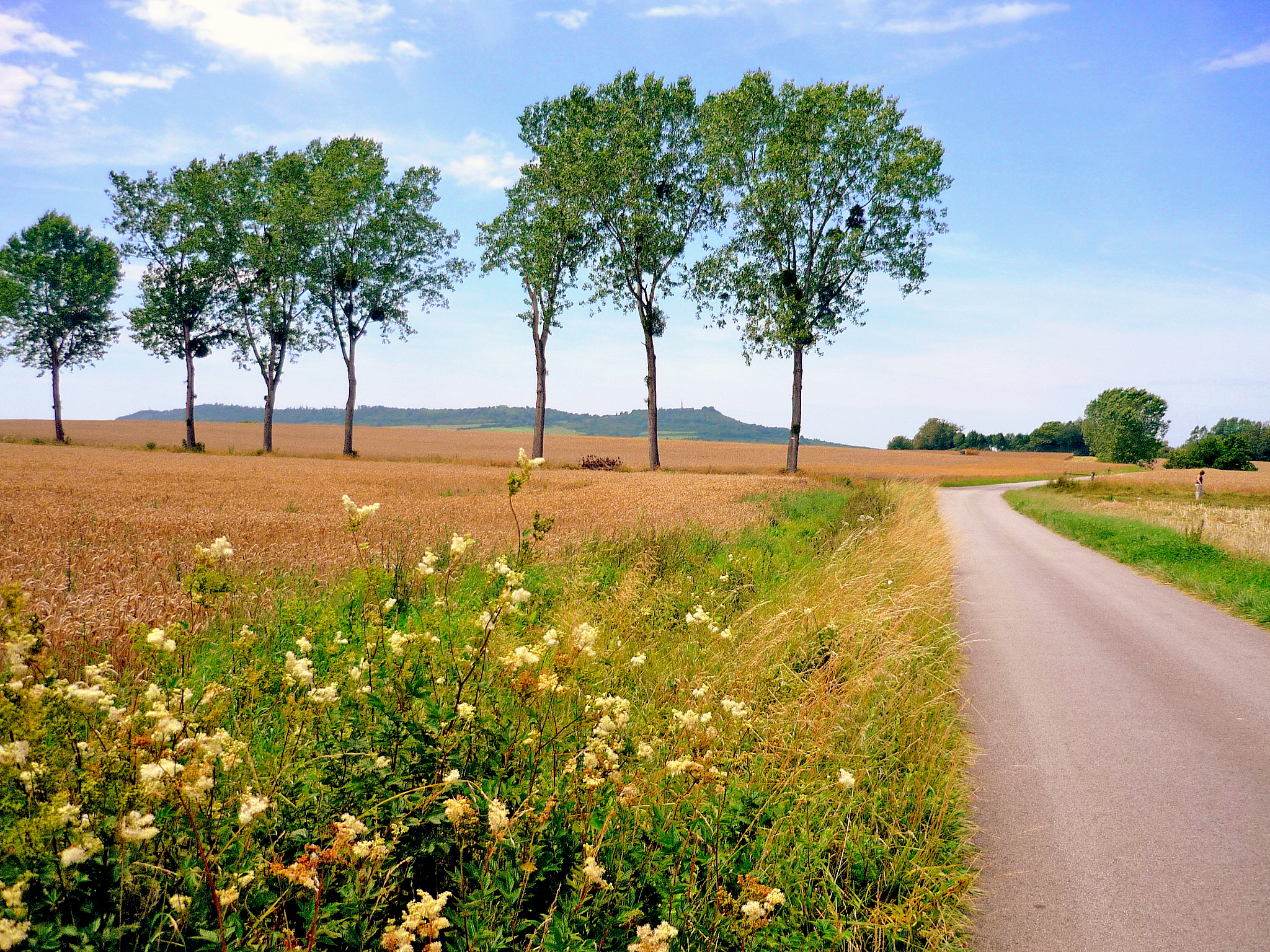 The countryside of Lorraine in Summer © French Moments