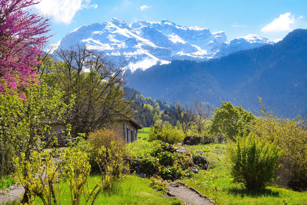 Seasons of the year in France - Spring in the French Alps © French Moments