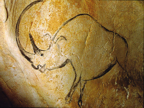 Chauvet Cave Rhinoceros © Inocybe from Wikimedia Commons