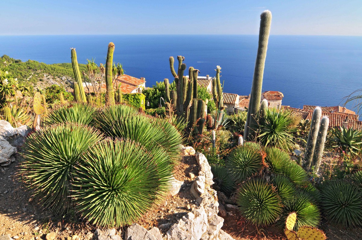 The Botanical Garden in Eze - Stock Photos from Cezary Wojtkowski - Shutterstock