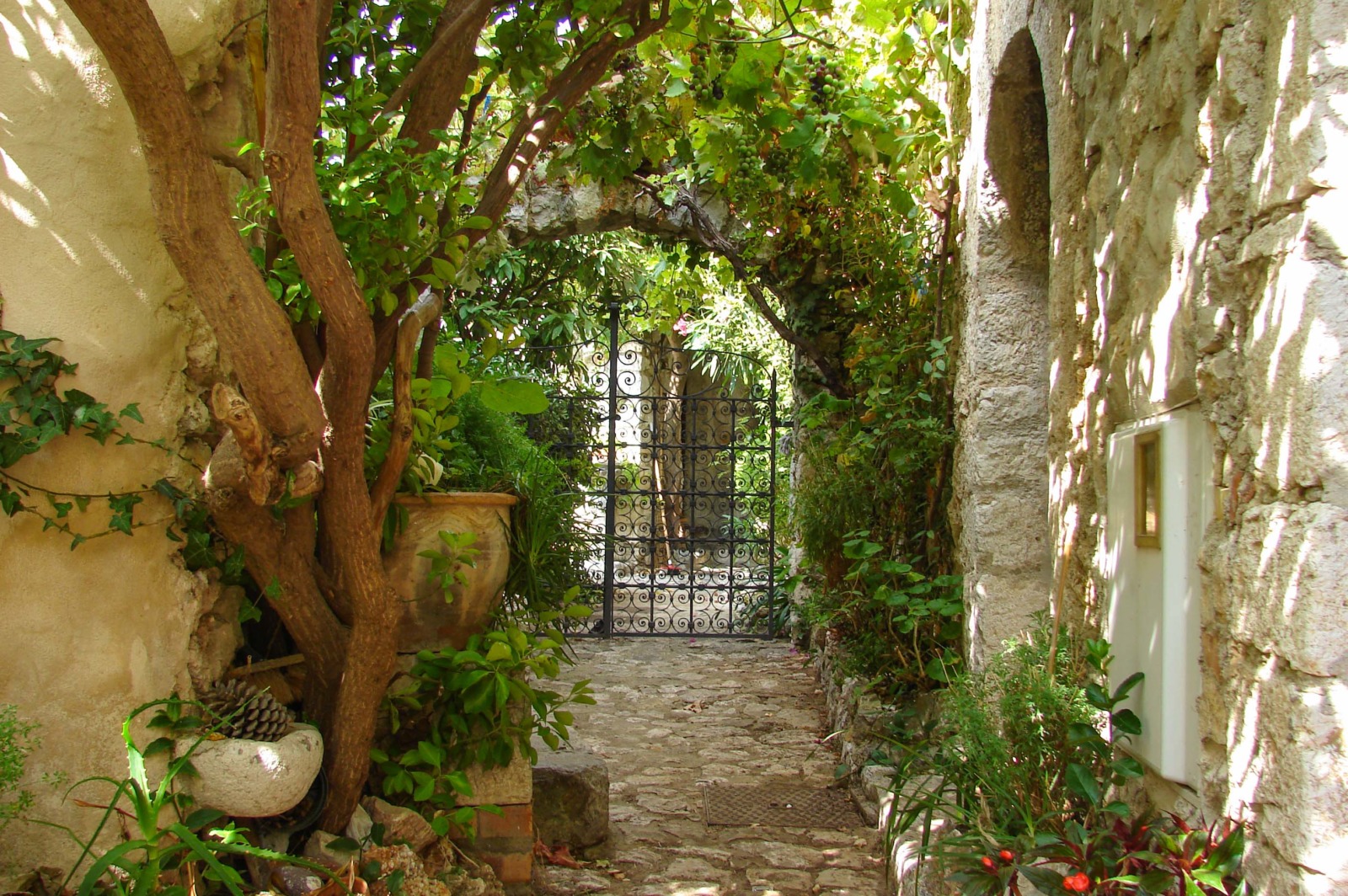 Eze - A shady courtyard © avu-edm - licence [CC BY 3.0] from Wikimedia Commons