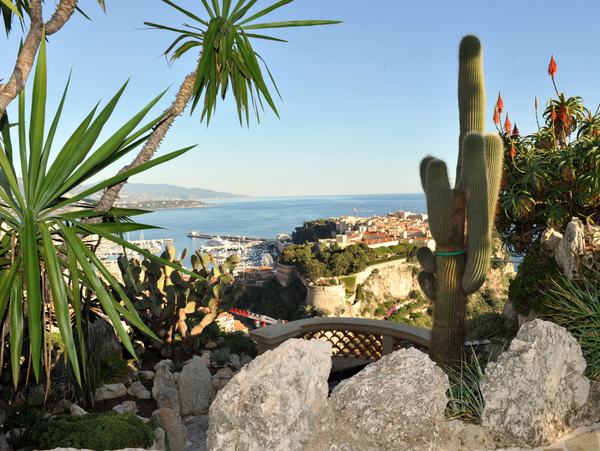 Jardin Exotique © Monaco Press Centre Photos