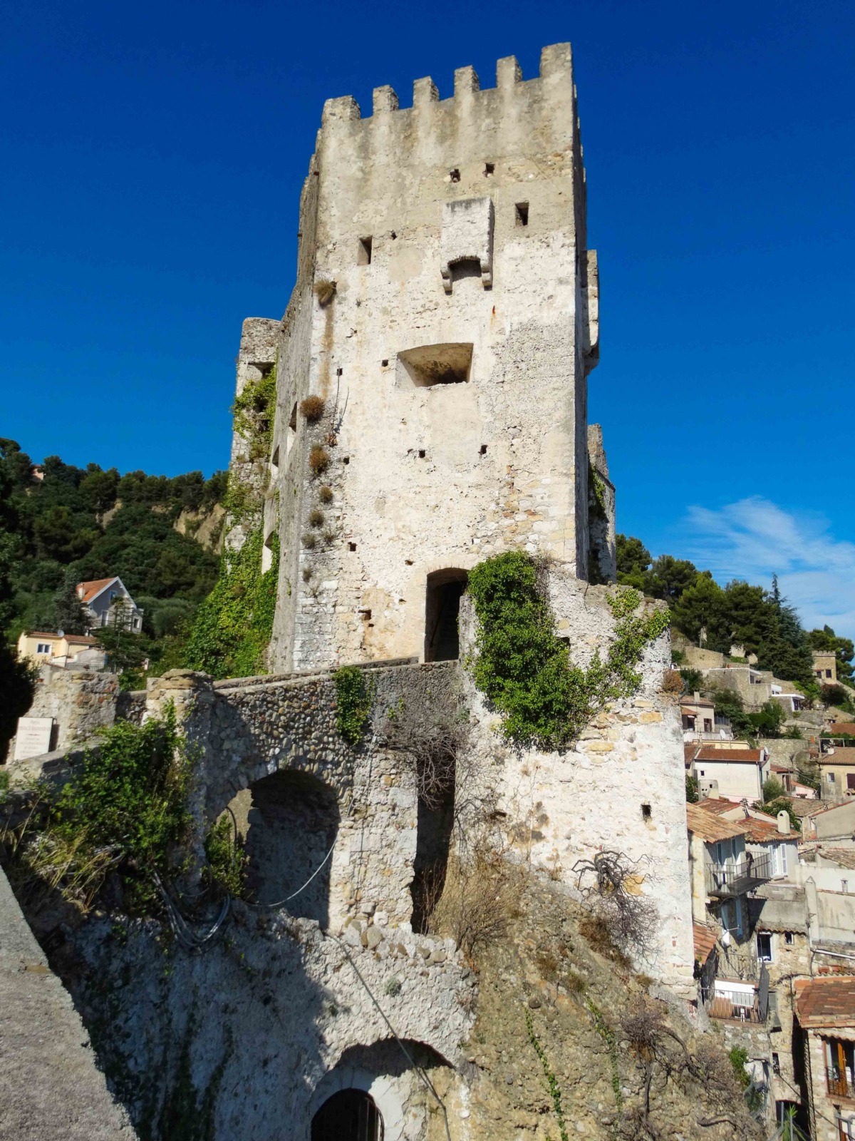 The Grimaldi Castle in Roquebrune-Cap-Martin © Leon petrosyan - licence [CC BY-SA 4.0] from Wikimedia Commons
