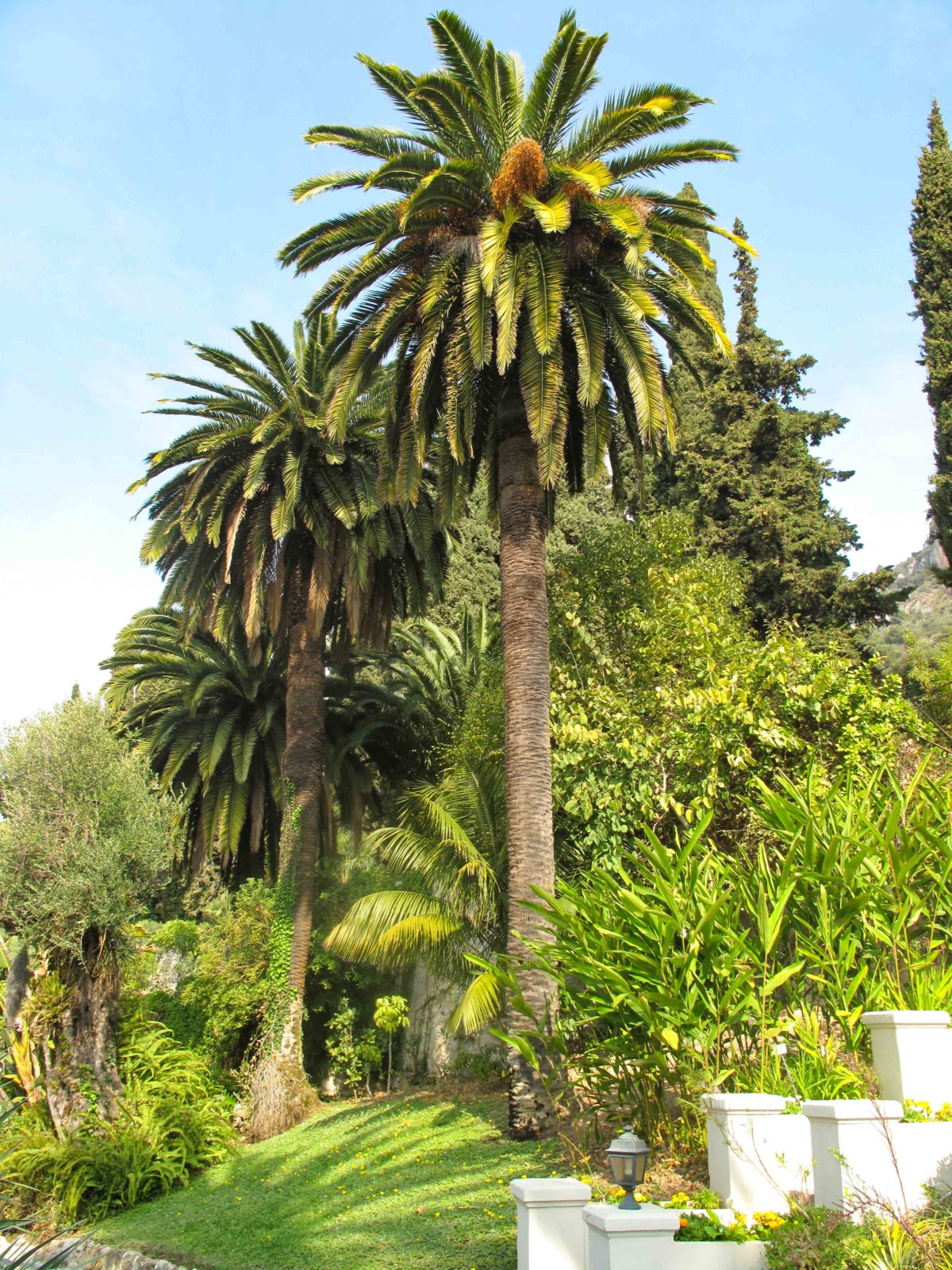 Menton's Parks and Gardens - Villa Serena. Photo: Tangopaso (Public Domain)