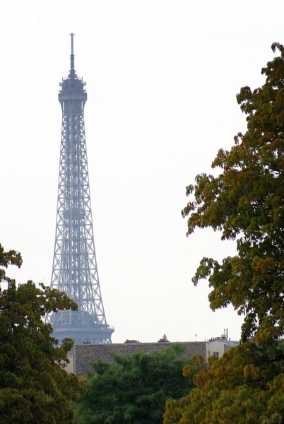 The Eiffel Tower seen from the Tuileries Garden © French Moments