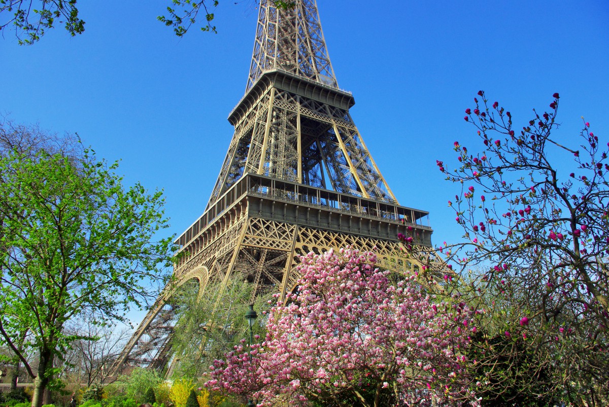 Get The Secrets of the Eiffel Tower - French Moments
