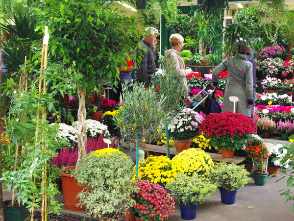 Queen Elizabeth II Flower Market © French Moments