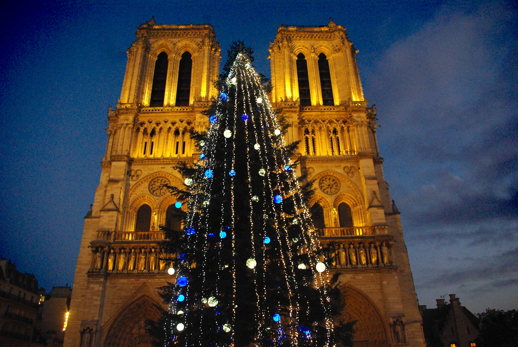 The Christmas Tree of NotreDame Cathedral French Moments