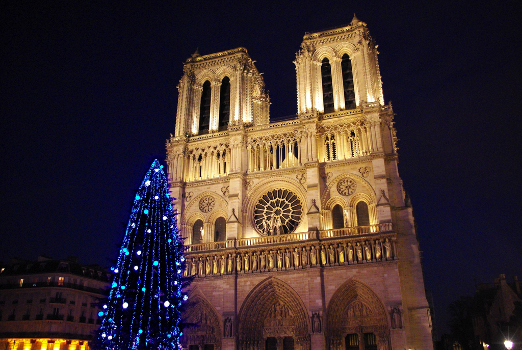 The Christmas Tree of NotreDame Cathedral French Moments