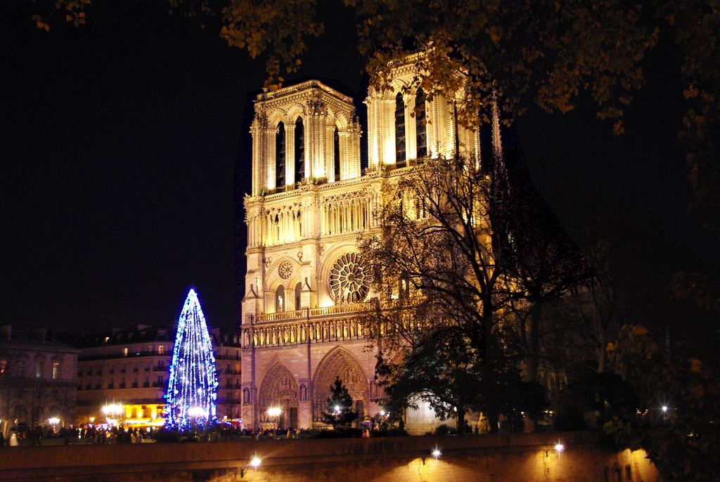 Notre-Dame Christmas 10 © French Moments