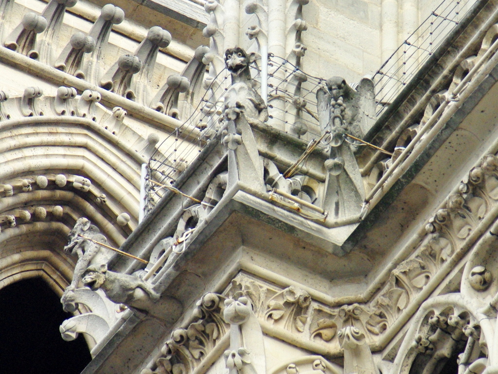 The chimera of Notre-Dame seen from the ground © French Moments