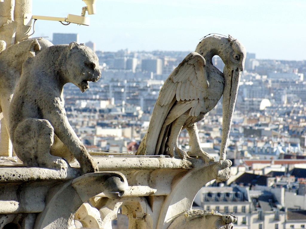 The chimera of Notre-Dame © French Moments