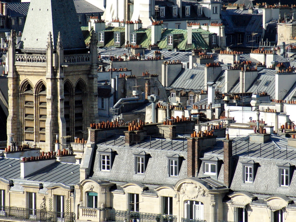 View from the towers of Notre-Dame, Paris © French Moments