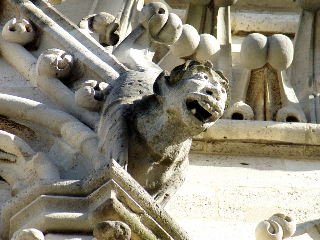 Gargoyles of Notre-Dame © French Moments
