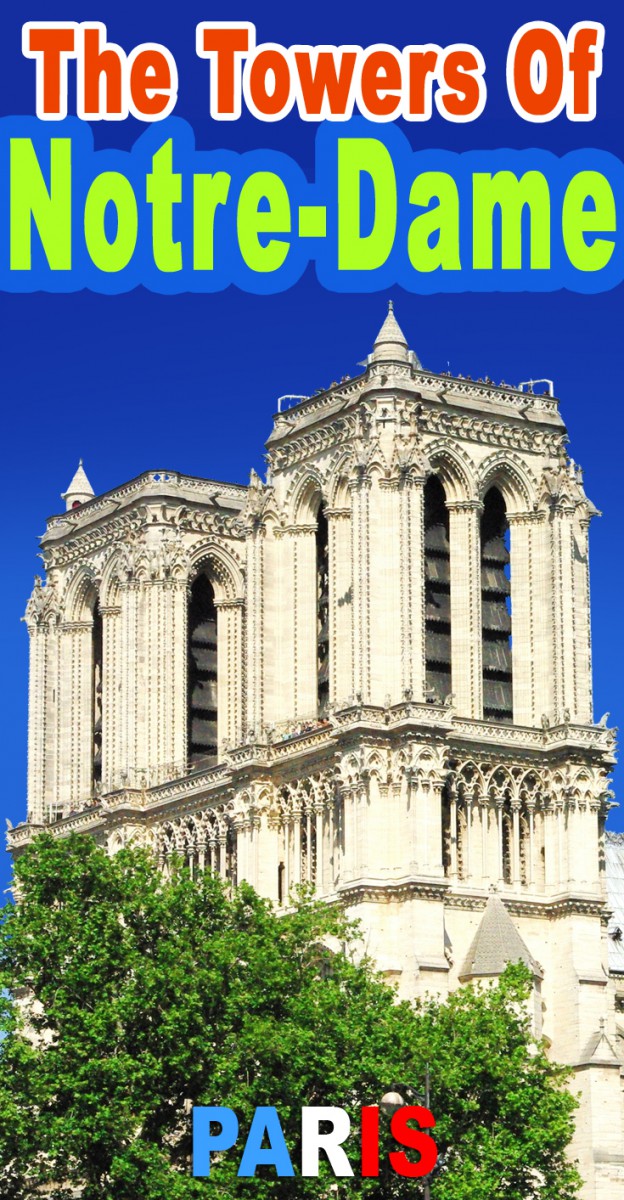 Discover the Towers of Notre-Dame, Paris © French Moments