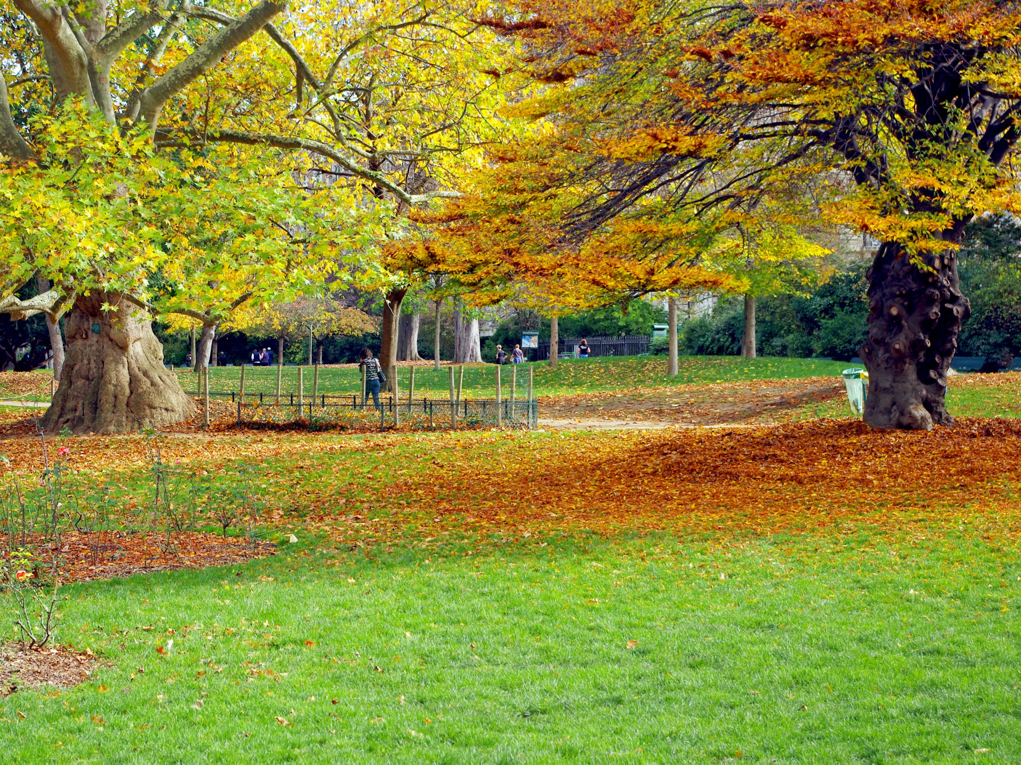 Autumn in Parc Monceau © French Moments