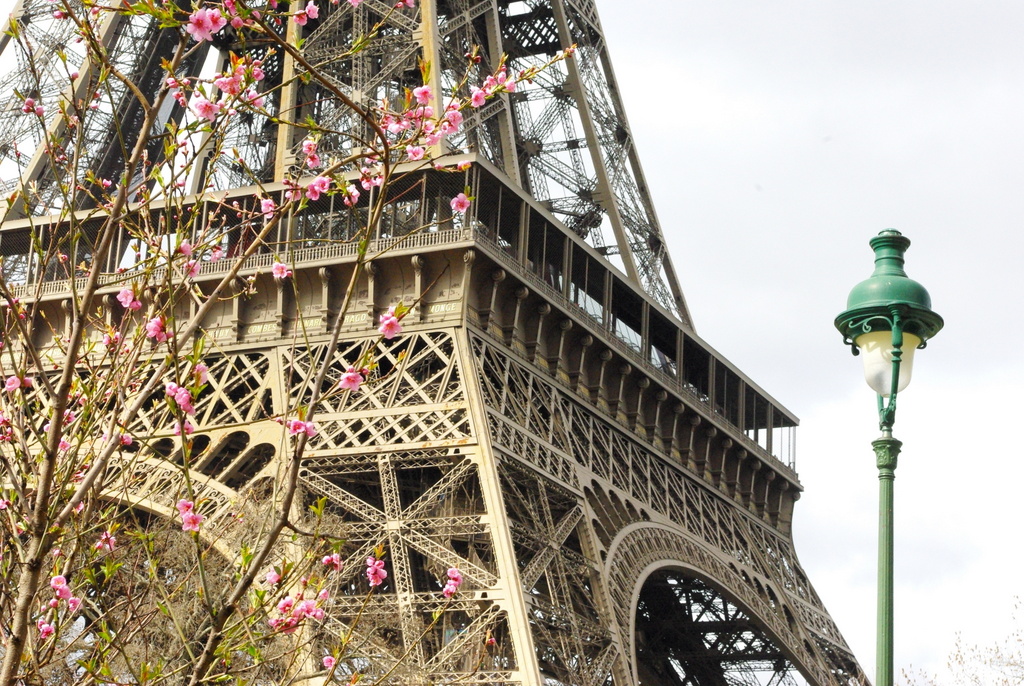 Spring at the Eiffel Tower 17 copyright French Moments