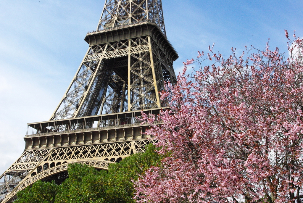 Spring at the Eiffel Tower 26 copyright French Moments