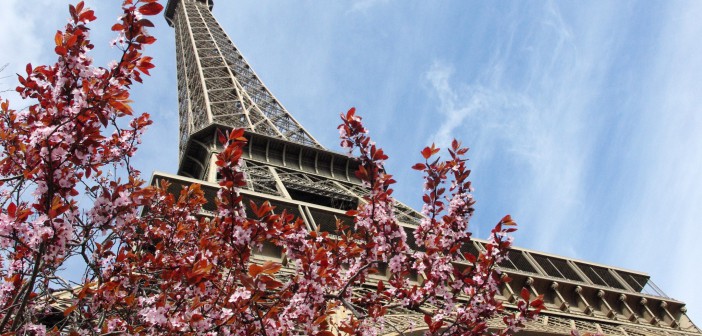 Spring at the Eiffel Tower 4 copyright French Moments