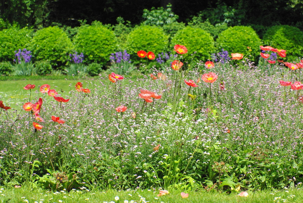 Luxembourg Garden in the Spring © French Moments