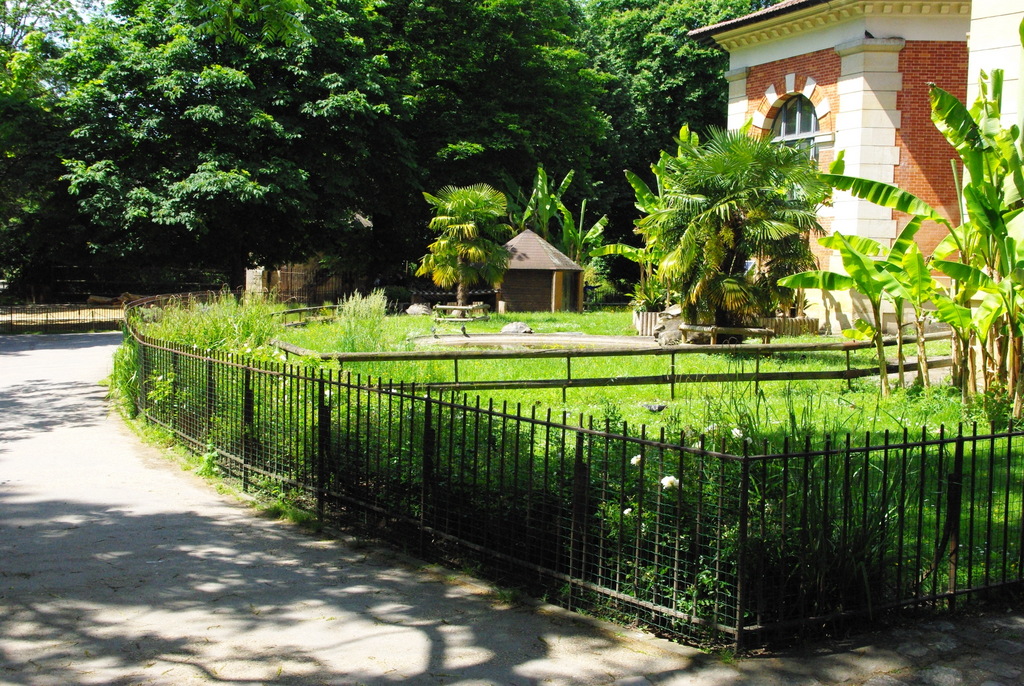 File:Poubelle dans le Jardin des plantes à Paris le 12 mars 2017.jpg -  Wikimedia Commons