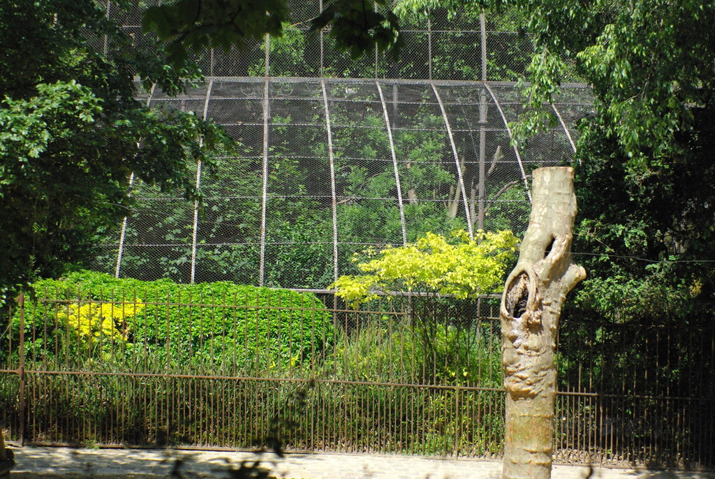 File:Poubelle dans le Jardin des plantes à Paris le 12 mars 2017.jpg -  Wikimedia Commons