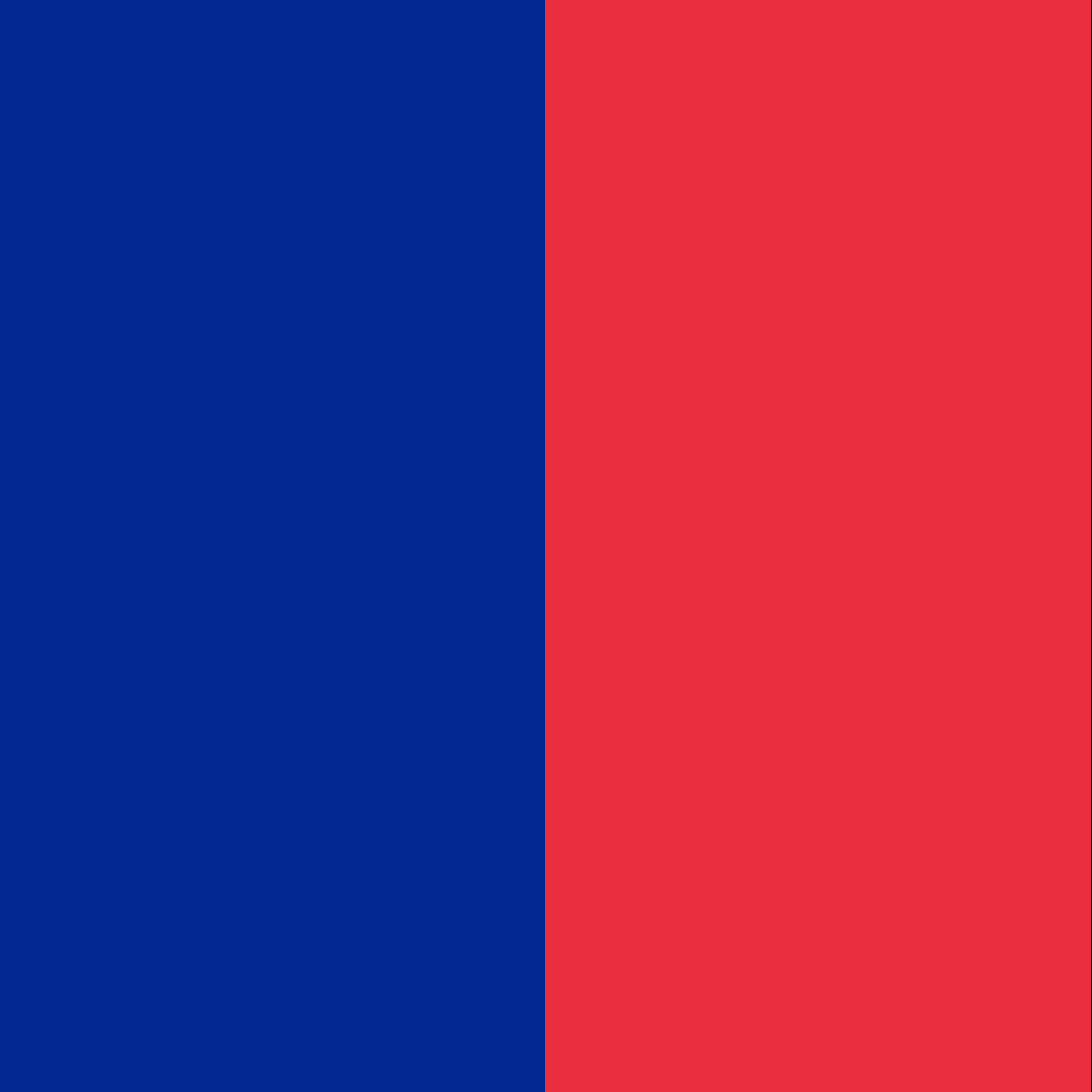 The flag of Paris