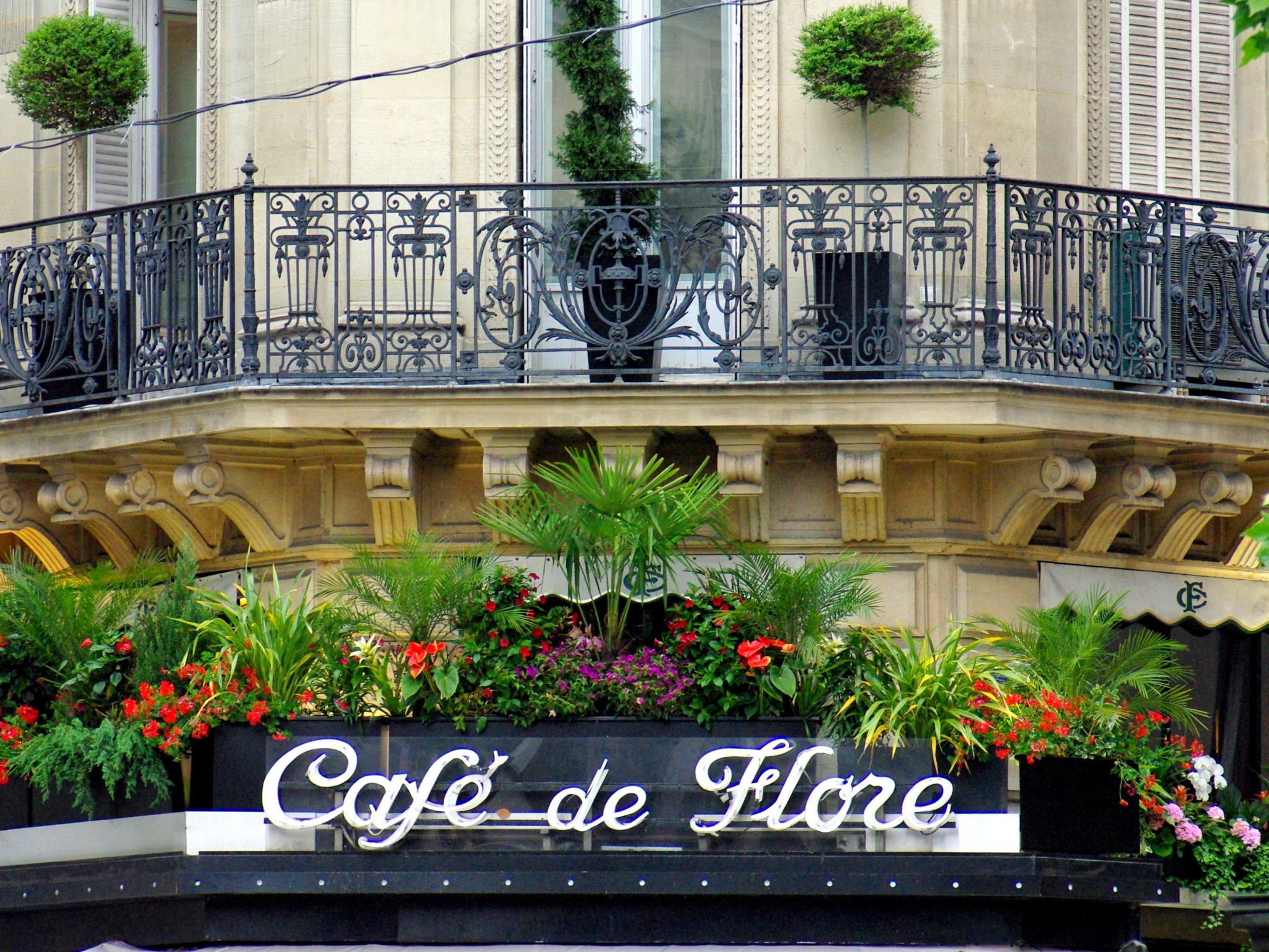 3 days in Paris: Café de Flore, Saint-Germain-des-Prés © French Moments