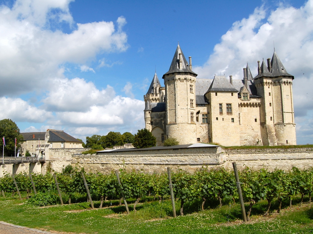 Wine lovers' tips: Saumur Vineyards © La Chiquita - licence [CC BY-SA 2