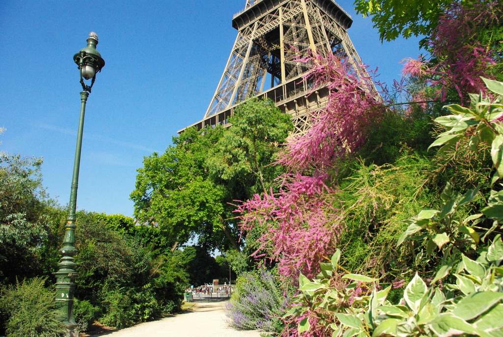 Champ de Mars Paris June 2015 21 © French Moments