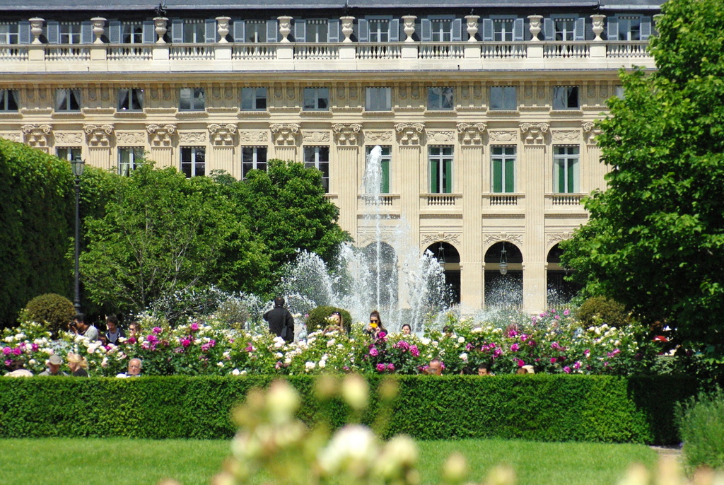 Palais Royal Gardens Stock Photo - Download Image Now - Paris - France, Palais  Royal, Jardin du Palais Royal - iStock