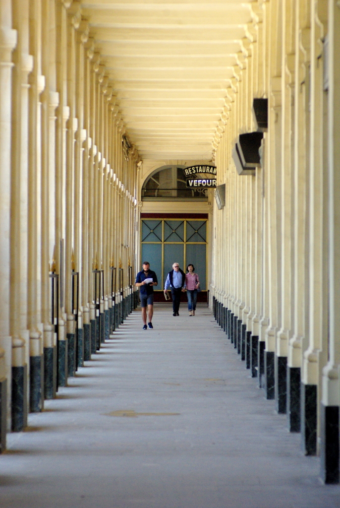 Noble Gardens and Notorious Galleries: The Palais Royal, Paris