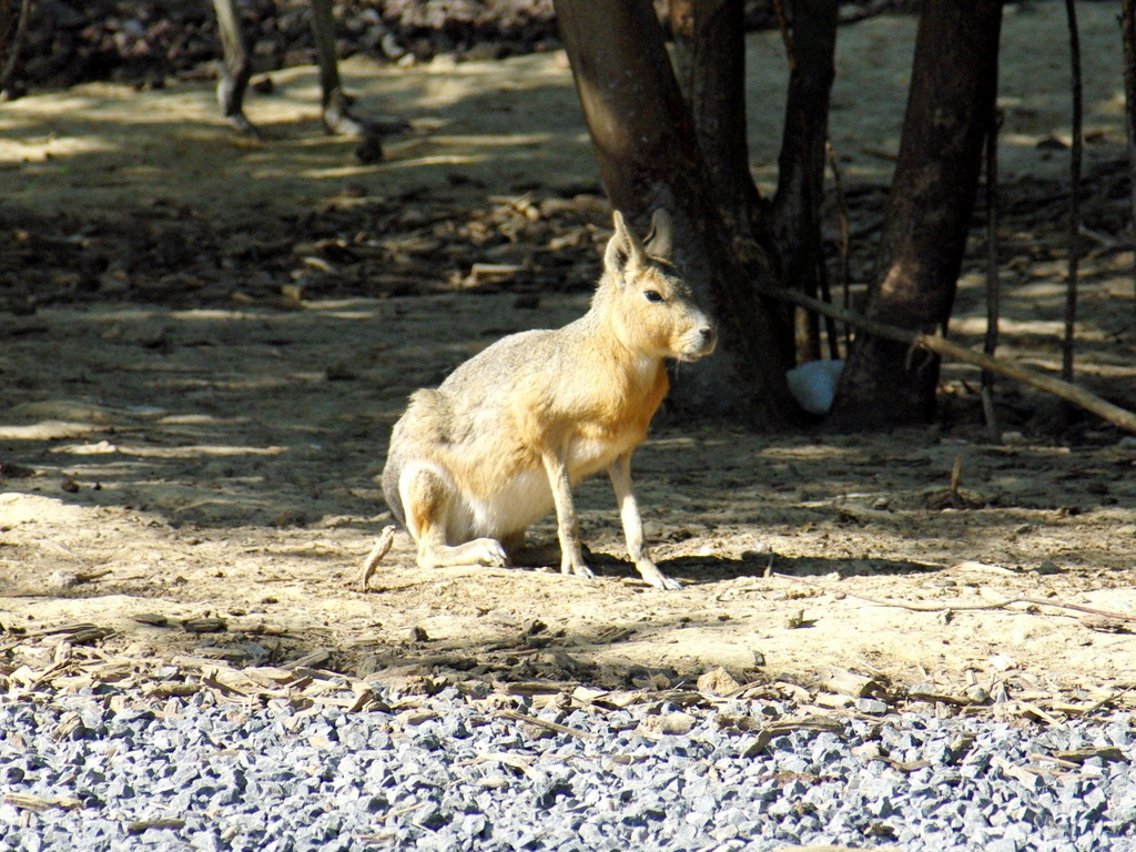 Paris Zoological Park © French Moments