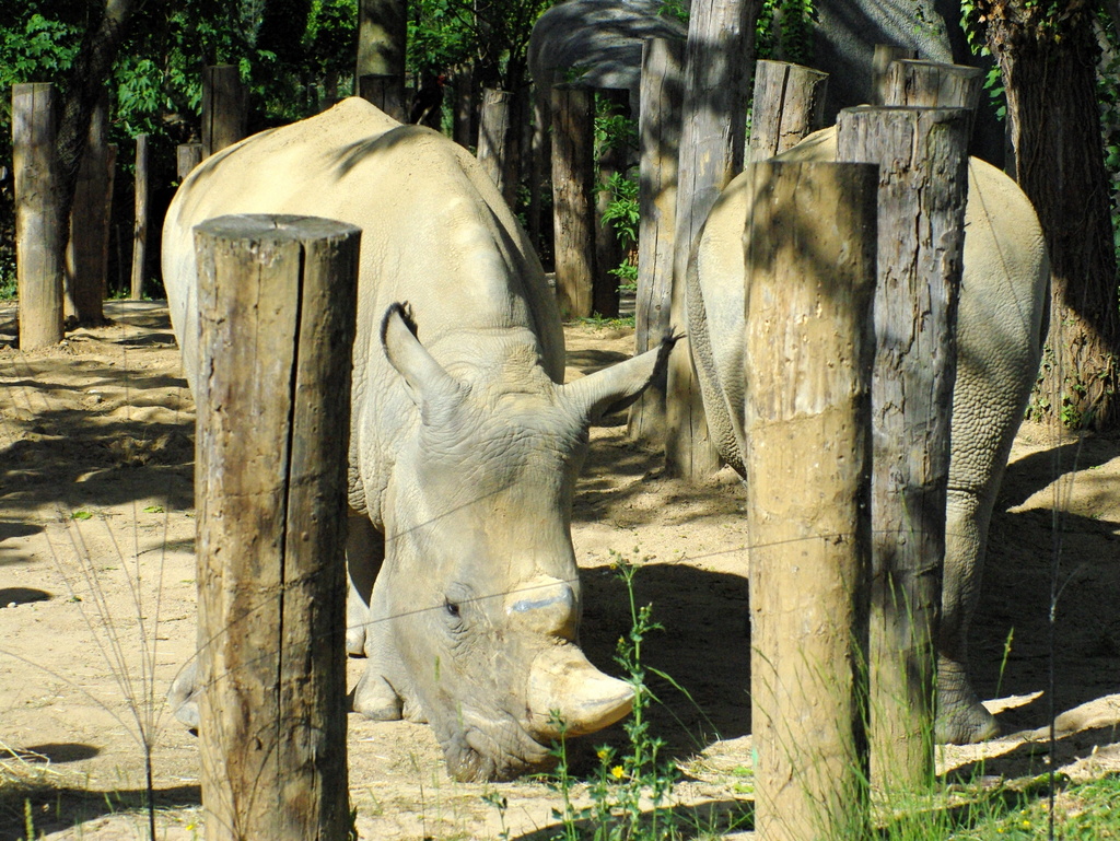 Paris Zoological Park © French Moments