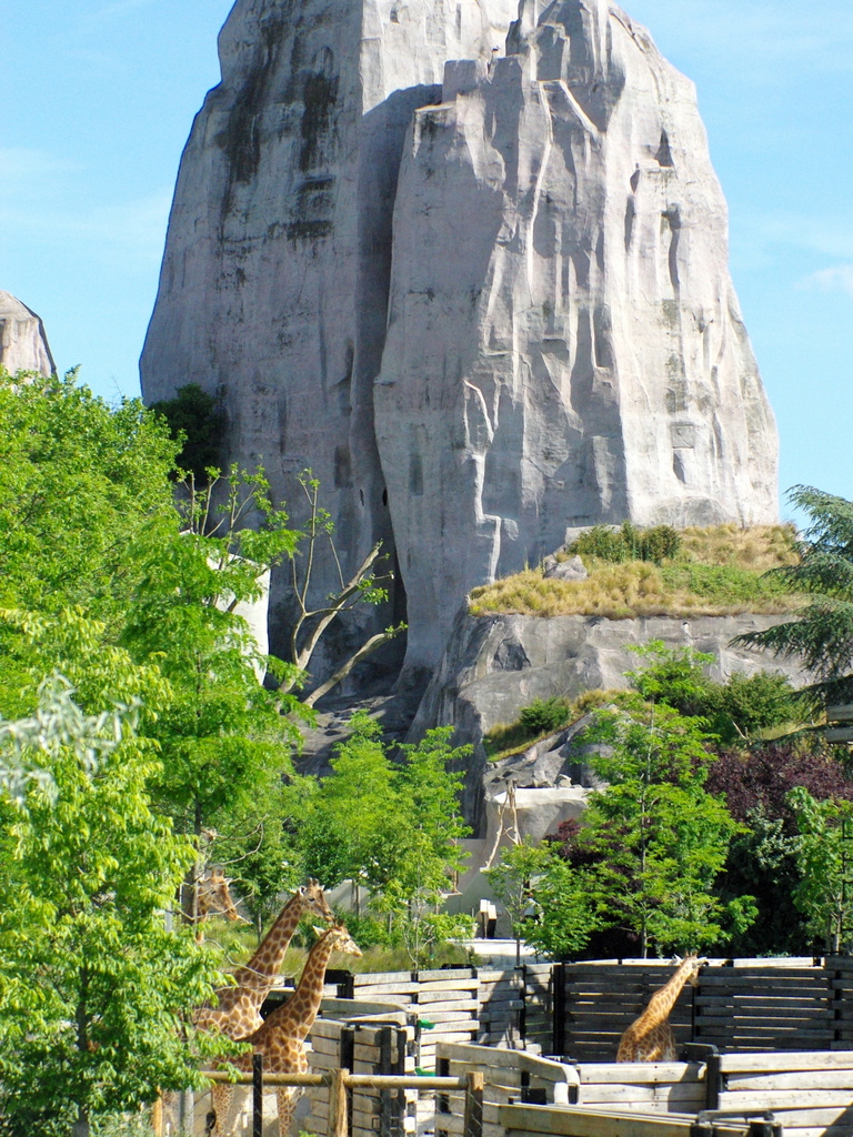 Paris Zoo © French Moments