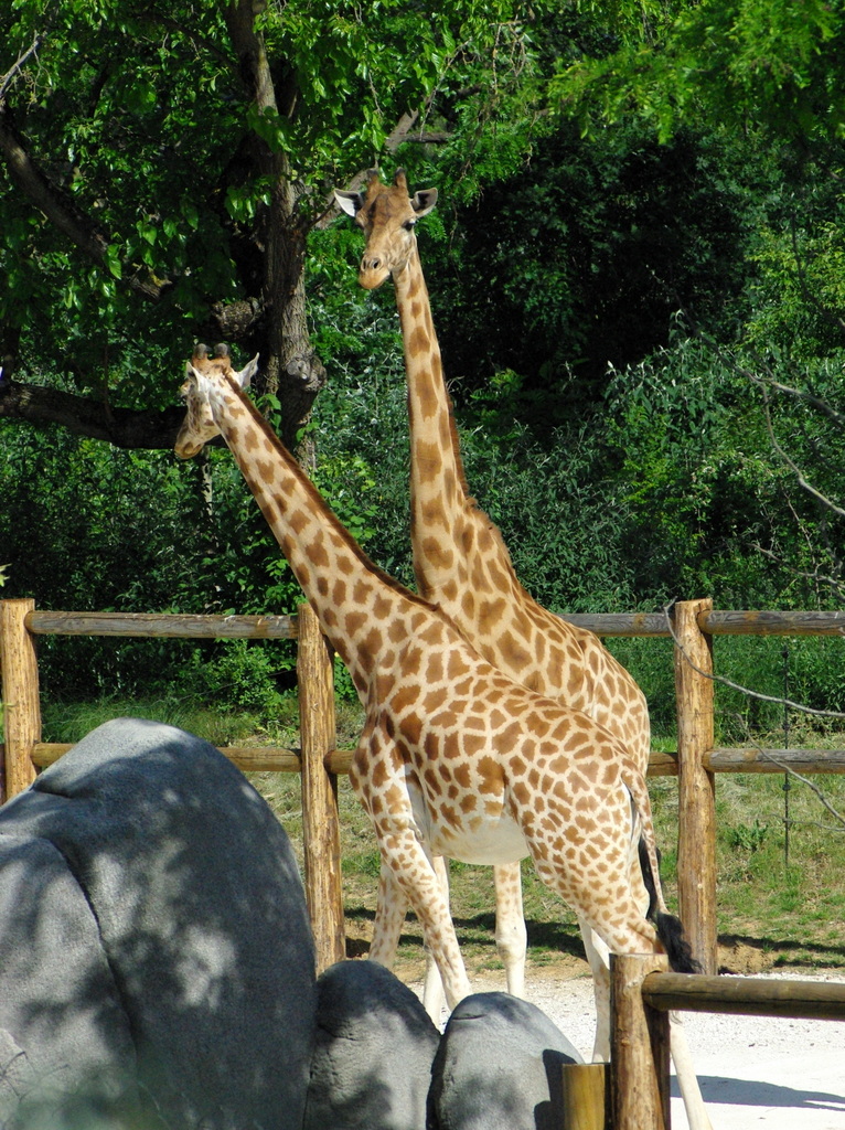 Paris Zoological Park © French Moments