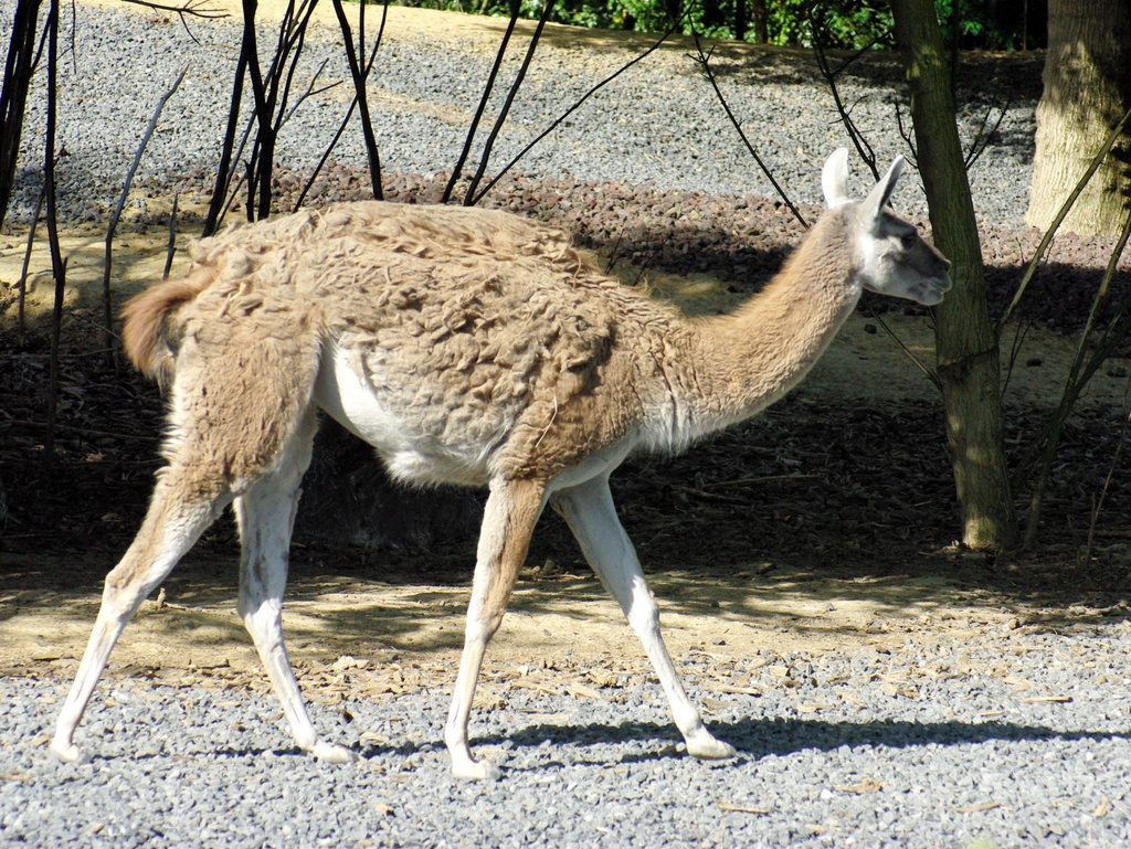 Paris Zoological Park © French Moments