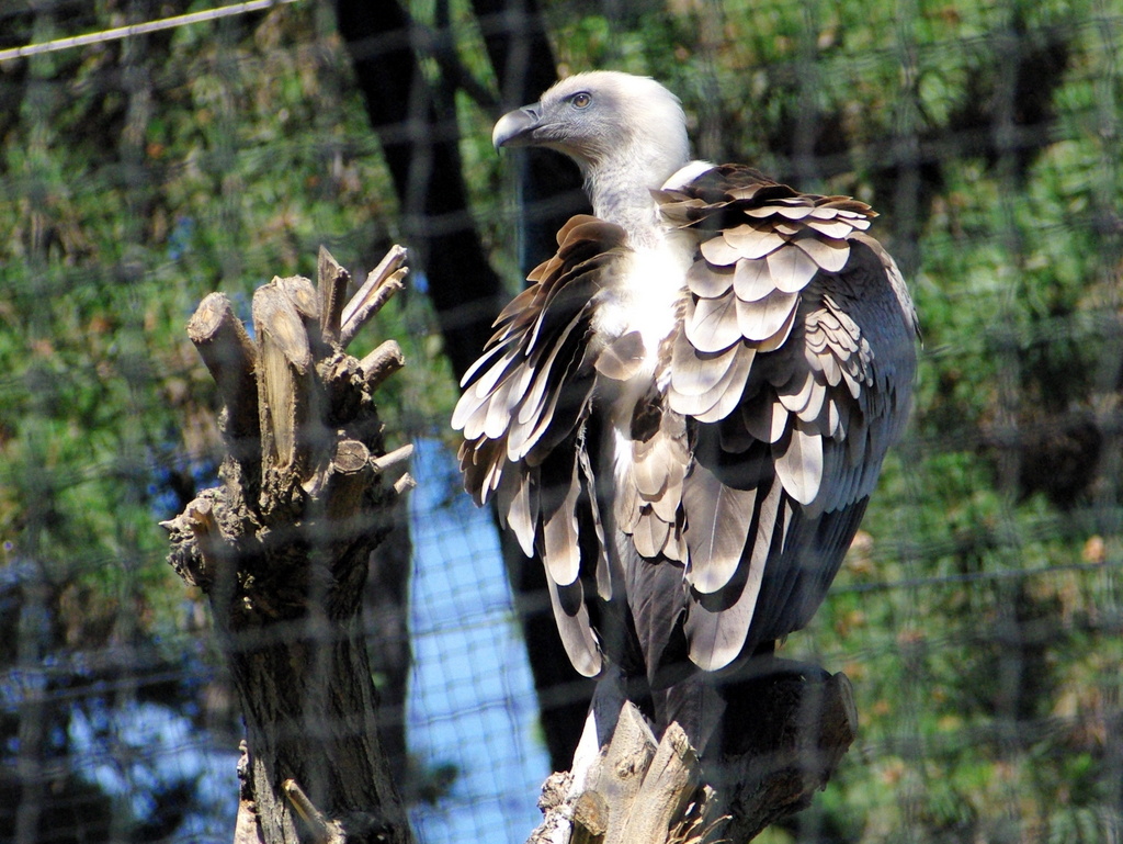 Paris Zoological Park © French Moments