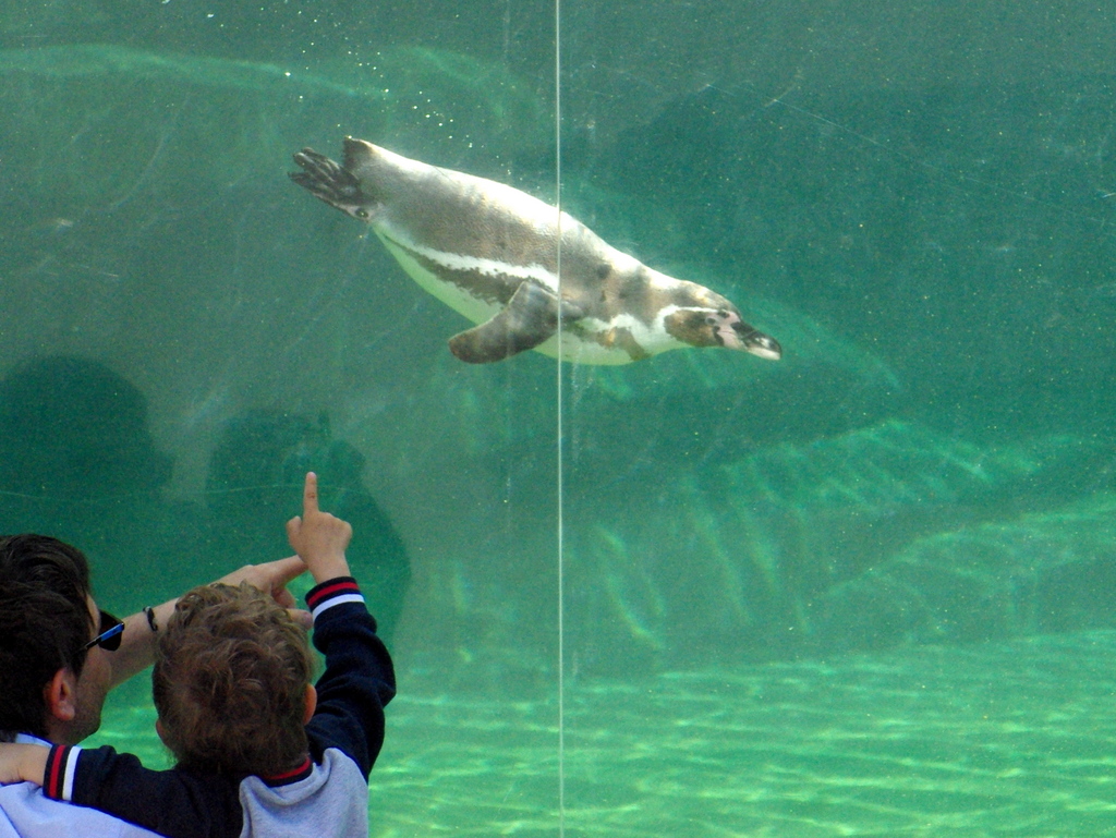 Paris Zoological Park © French Moments