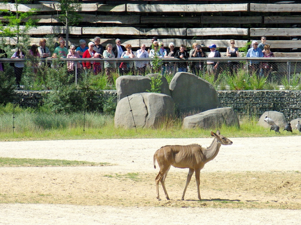 Paris Zoological Park © French Moments