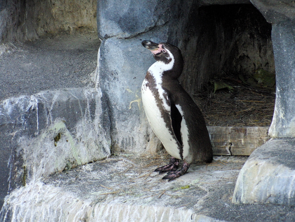 Paris Zoological Park © French Moments