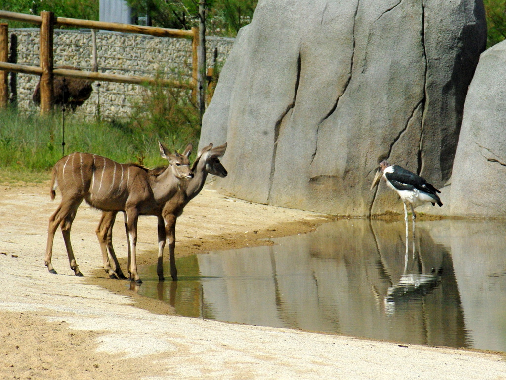 Paris Zoological Park © French Moments