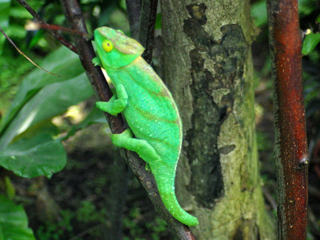 Paris Zoological Park © French Moments