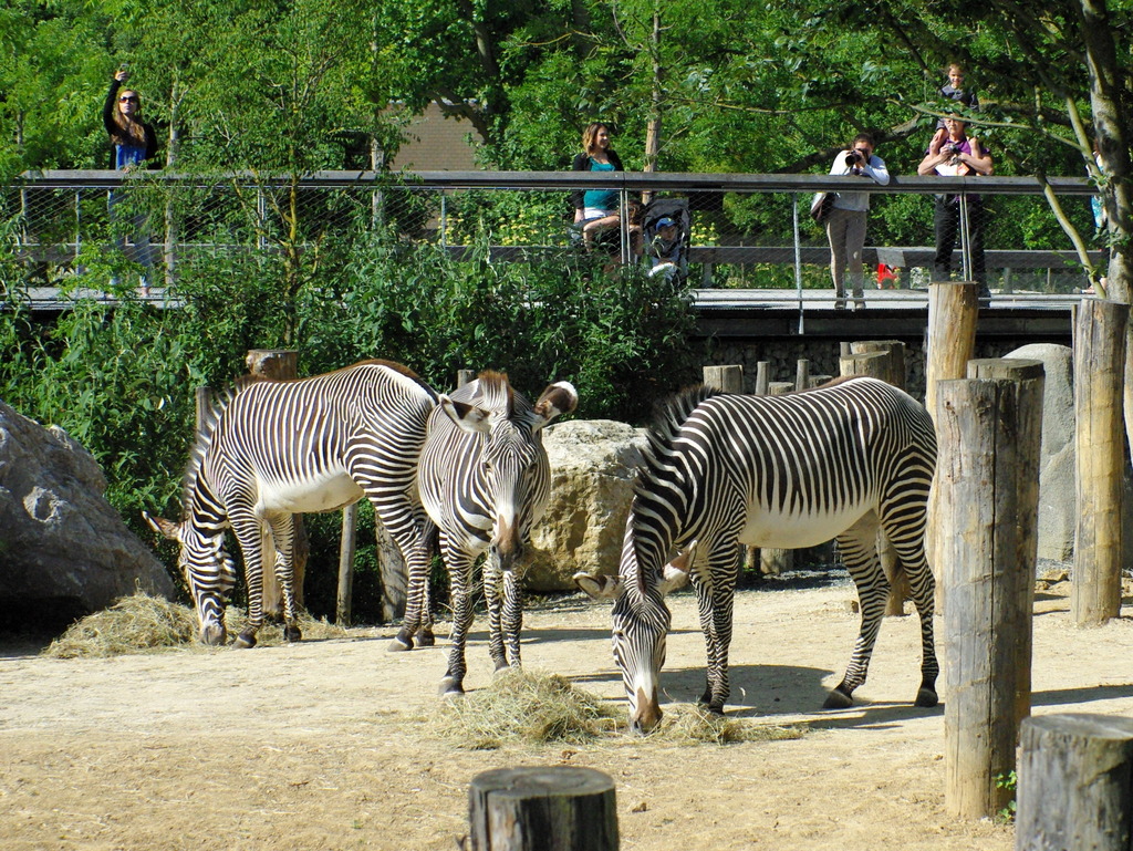 Paris Zoological Park © French Moments