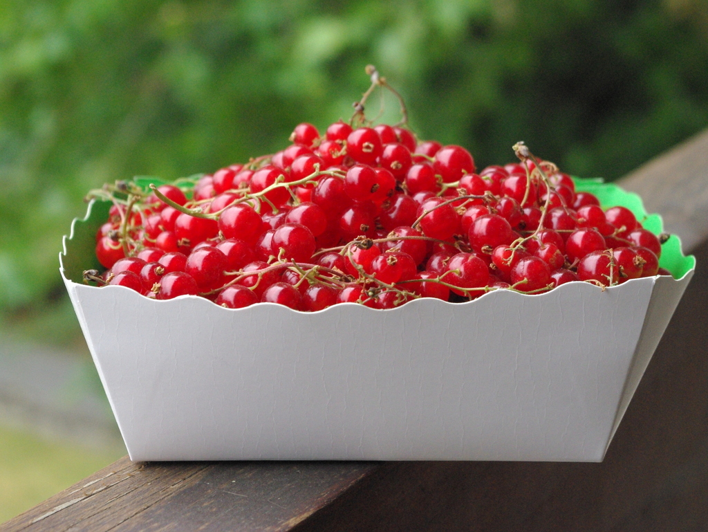 Redcurrants © French Moments