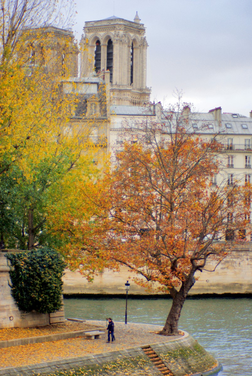 Ile Saint Louis in Autumn © French Moments