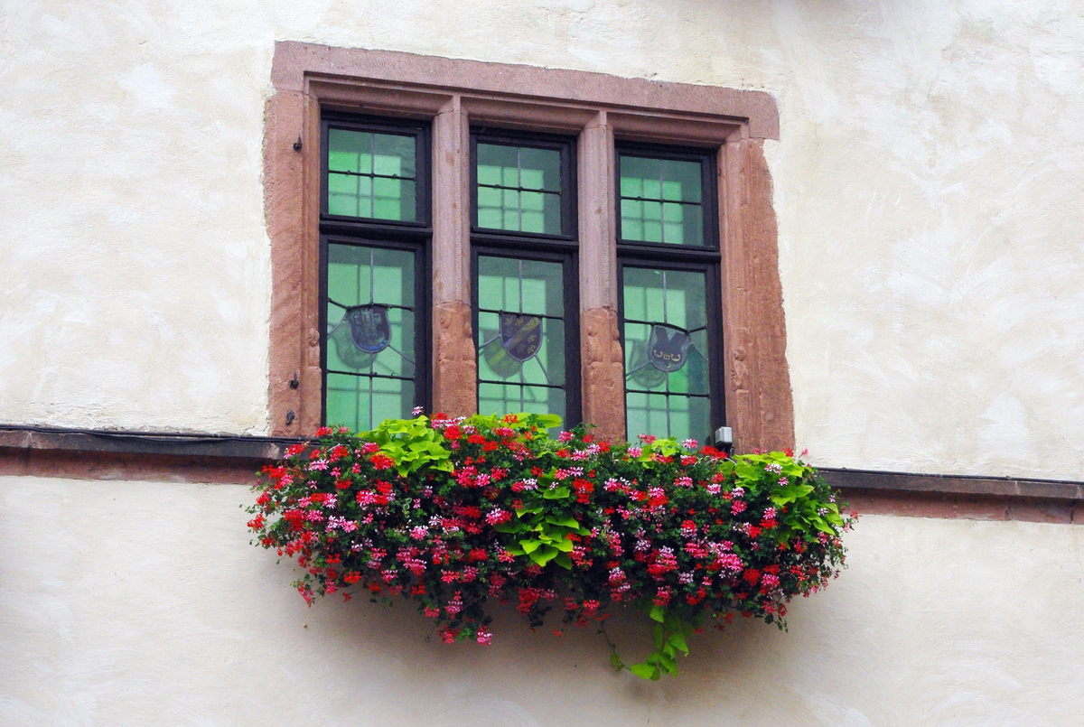 Kaysersberg July 2015 10 copyright French Moments