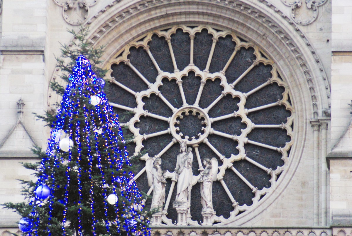 France, Paris (75) 1st arrondissement, 2021 Christmas