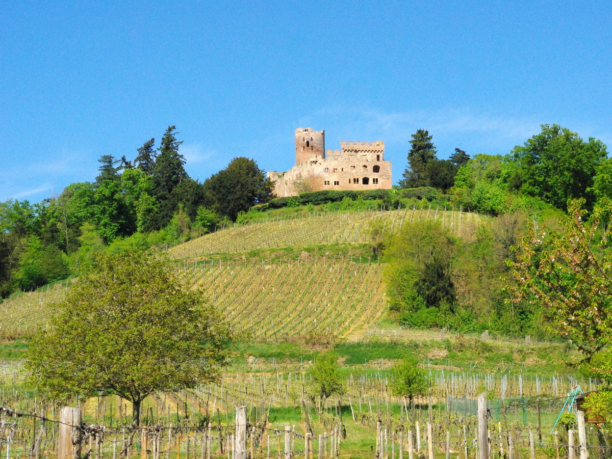 The Castle of Kintzheim, Alsace © French Moments